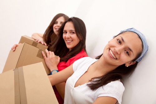 Risk assessment planning for a man and van move