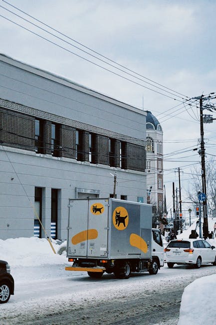 A medium-sized delivery van with a grey exterior parked on a snow-covered street next to a modern, multi-story building with a white facade and dark window shutters. The van features two large, circular yellow stickers with black animal silhouettes, one of a cat and one of a dog, indicating pet-friendly or animal-related services. The van is positioned near the curb, with its back doors closed, and appears to be in the process of either loading or unloading goods relevant to home relocation or moving services. Behind the van, there are several cars parked along the street, some partially visible, and utility poles with power lines extend across the scene. Snow piles are visible on the sidewalk and street edges, suggesting recent snowfall. The environment appears to be an urban area with residential and commercial structures, and the overall scene reflects a typical winter day suitable for a moving or furniture transport operation managed by Man with Van Isle of Dogs.